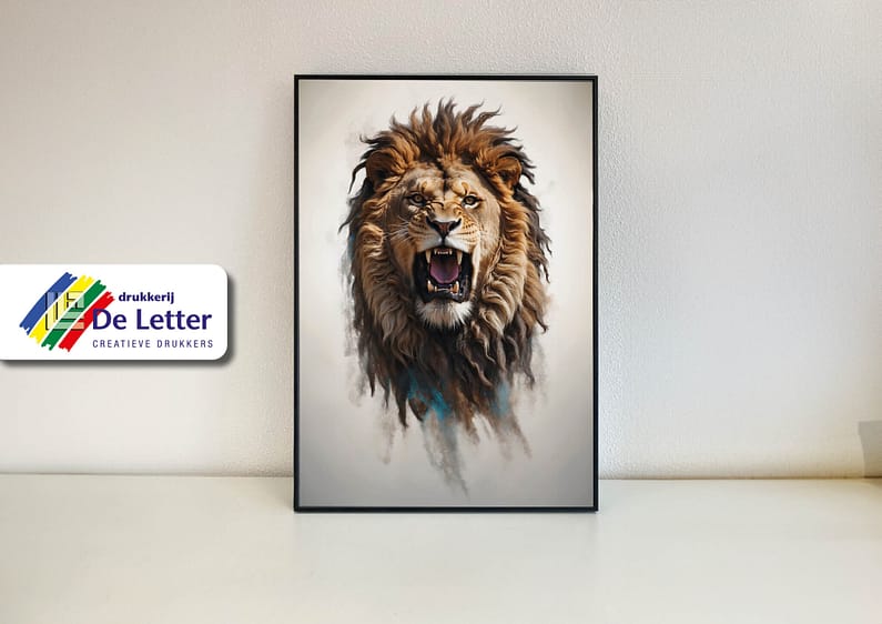 portfolio en facebook plexiglass